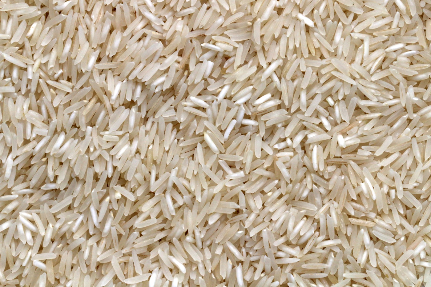 Steel bowl for rinsing rice at the kitchen sink